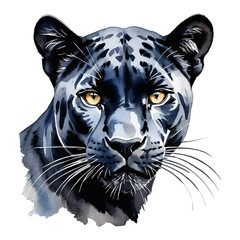 Black Panther Hand Drawn Watercolor Painting Illustration