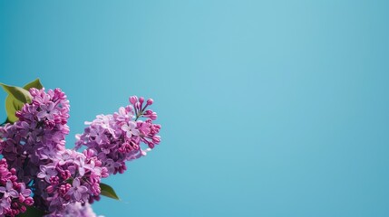 Vivid purple lilac blossoms under a clear blue sky in spring Ample space for text