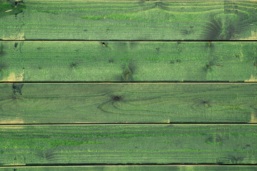 Green painted wood texture, wooden background.