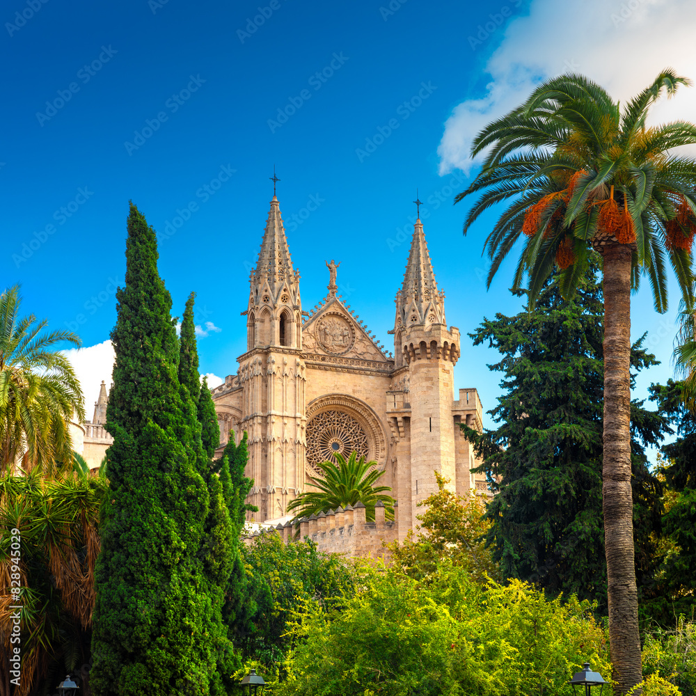 Wall mural The Cathedral of Santa Maria of Palma and Parc del Mar near, Majorca, Spain