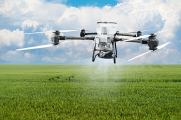 Spreading agricultural drone flies over the field and spreads fertilizer. Smart farming and precision agriculture