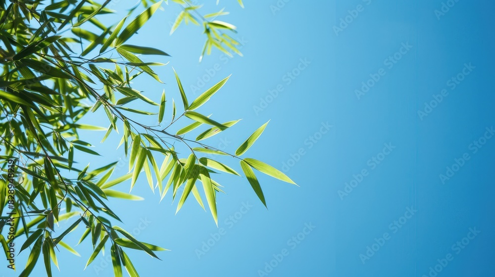 Wall mural Bamboo leaves against a backdrop of clear blue sky for Chinese New Year theme with space for text