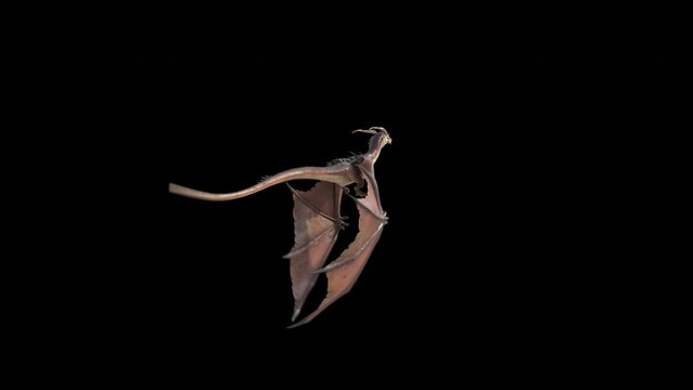 Flying and Roaring Fantasy Dragon Pack

Animation of a flying and roaring fantasy dragon in 4K. Seamless loop.
Dragon on isolated background. Animation for fantasy backgrounds. 
Use this video in any 