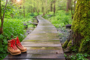 wooden path in the forest with walking shoes