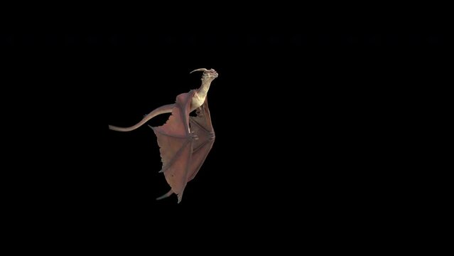 Flying and Roaring Fantasy Dragon Pack

Animation of a flying and roaring fantasy dragon in 4K. Seamless loop.
Dragon on isolated background. Animation for fantasy backgrounds. 
Use this video in any 