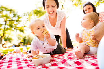 Mothers and babies enjoying group picnic outdoor in park, sitting on picnic blanket and preparing...