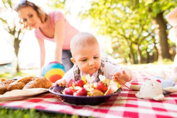 Mothers and babies enjoying group picnic outdoor in park, sitting on picnic blanket and preparing food and drinks.