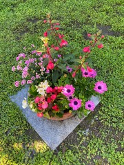 Einpflanzung mit bunten Blumen auf dem Friedhof