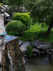  garden with waterfall and garden