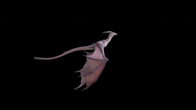 Animation of a flying and roaring fantasy dragon in 4K. Seamless loop.
Dragon on isolated background. Animation for fantasy backgrounds. 
Use this video in any fantasy, sci-fi, game or education relat
