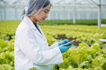 Asian woman botany engineer analyzing plants. Hydroponic agricultural system, organic hydroponic vegetable garden at greenhouse. Expert biologists quality inspection in green house plantation
