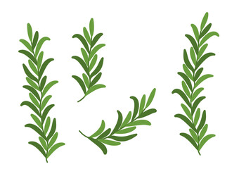 Rosemary sprigs for garnishing drinks. Vector icons.