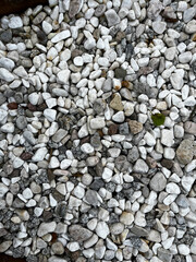 drobne biało szare kamyczki na kamiennej plaży 