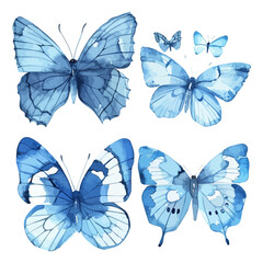 watercolor blue butterfly set collection isolated on white background, blue butterflies set collection