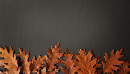 Brown red autumn leaves arranged on a dark background. Minimalism and sustainability, copy space,...