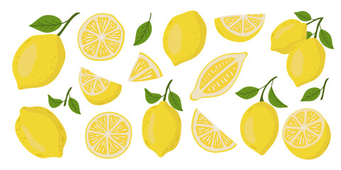 Fresh citrus, half sliced lemons and chopped lemon. Cut lemons.