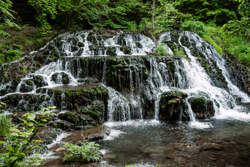 Surrounded by bright green spring foliage and ferns, waterfall in Bulgaria. cascades over the...