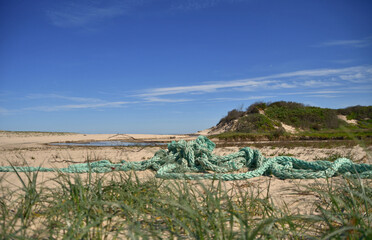 Strandgut