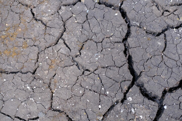 cracked and parched earth, stark reminder devastating effects drought