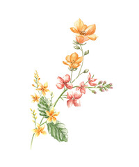 Watercolor illustration of wild summer flowers.
Can be used to create cards and invitations.
Poppies and bluebell flowers. 