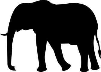 elephant wild animal icon vector, sign, symbol, logo, editable stroke, flat design style isolated on transparent background. elephant silhouette side view use for web and app.