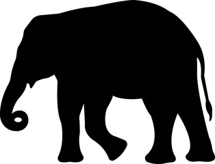 elephant wild animal icon vector, sign, symbol, logo, editable stroke, flat design style isolated on transparent background. elephant silhouette side view use for web and app.