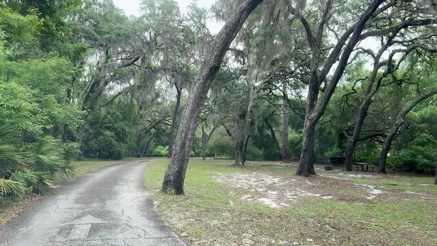 Driving into Clearwater Lake Recreation Area near Paisley, Florida US