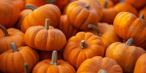 A group of small vibrant orange pumpkins gathered, representing harvest time and the fall season