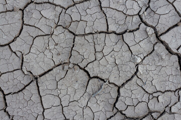 Close-up top view of dry dark grey cracked clay land surface in a summer day. Abstract weather background. Soft focus. Copy space. Drought and climate change theme.
