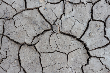 Close-up top view of dry dark grey cracked clay land surface in a summer day. Abstract weather background. Soft focus. Copy space. Drought and climate change theme.