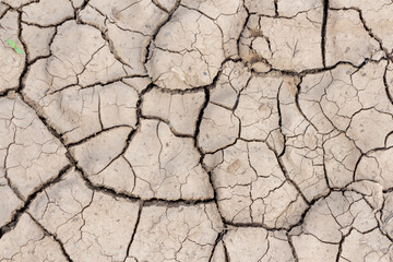 Close-up top view of dry brown cracked clay land surface in a summer day. Abstract weather background. Soft focus. Copy space. Drought and climate change theme.