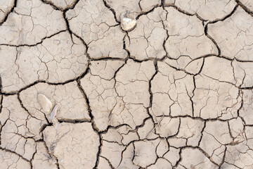 Close-up top view of dry brown cracked clay land surface in a summer day. Abstract weather background. Soft focus. Copy space. Drought and climate change theme.