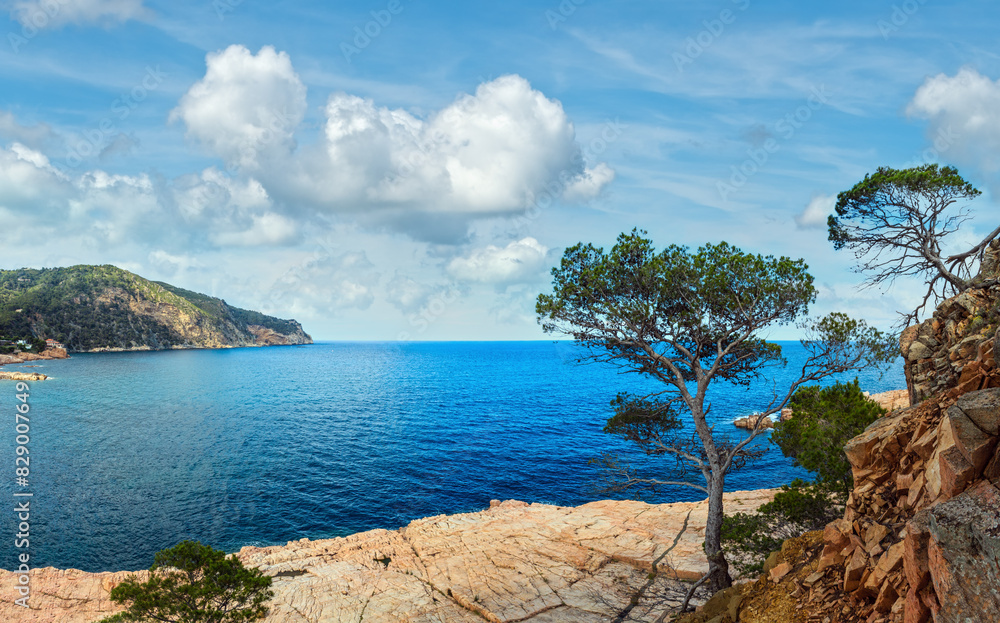 Canvas Prints Summer sea rocky coast view (near Palamos, Costa Brava, Catalonia, Spain). Two shots stitch panorama.