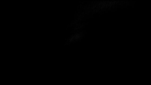 Brush Z Text Animation Logo, Typography Z Zz Logo Videos With Sand Effects Animation For You