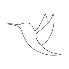 Hummingbird one line. Vector drawing.
