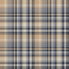 Seamless pattern of scottish tartan plaid. Repeatable background with check fabric texture. Vector backdrop striped textile print.