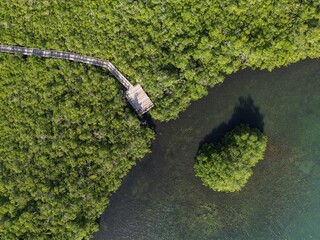 Cenital drone picture of a natural park in san andres island in Colombia. This is the Old point mangrove park.