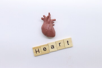 Top view of a 3d printed heart organ in a white background with letter in wooden 