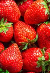 Red ripe strawberry harvest, top view	