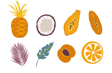 Set of exotic  fruit  and tropical leaves. Vector illustration on a white.