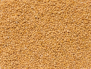 Mustard seeds, full frame
