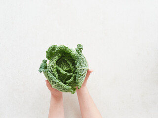 Top view of woman hands demonstrating fresh green savoy cabbage on light background. Low carb diet concept.