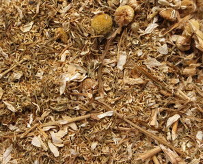 Dried chamomile texture. Chamomile details. ingredient for making tea.