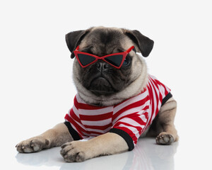 beautiful little pug dog with triangle sunglasses laying down