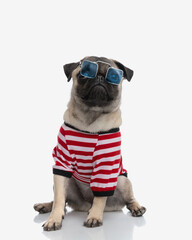 funny little pug puppy with sunglasses sitting and looking up