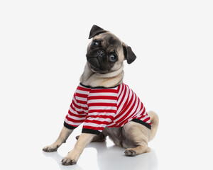 beautiful fawn pug dog wearing red and white stripes body costume