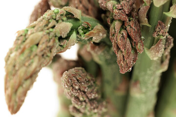 close up picture of uncooked fresh asparagus with morning dew