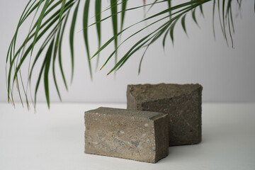 Concrete podium under palm leaves. 