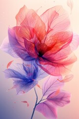 Two Colorful Flowers on Pink and Blue Background