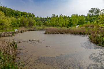 A tranquil pond is surrounded by lush foliage with hints of purple from blooming trees, under a partly cloudy sky at the Evergreen Brickworks in Toronto, Ontario.